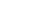 Icon Production Advisor